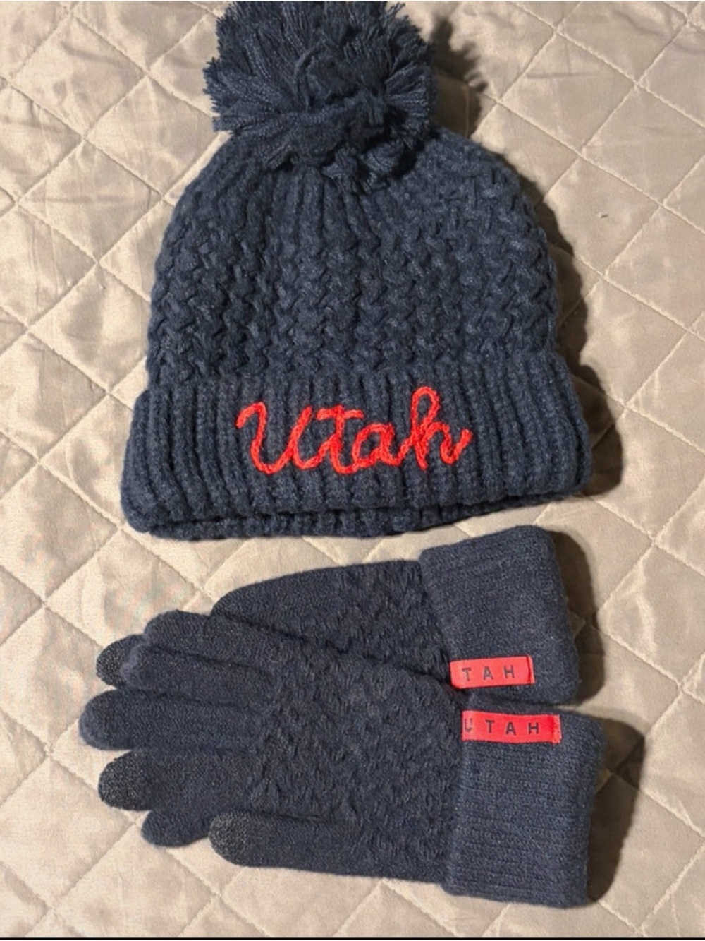 Robin Ruth Navy Knit Pom Beanie and Gloves